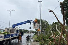 Các đơn vị Điện lực tại miền Trung đang tập trung nỗ lực khắc phục các sự cố điện do ảnh hưởng bão số 4. (Ảnh: PV/Vietnam+)