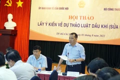 Thứ trưởng Bộ Công Thương Đặng Hoàng An trao đổi về phân cấp, phân quyền trong Luật Dầu khí (sửa đổi). (Ảnh: PV/Vietnam+)