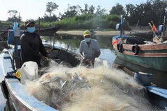 Bộ Công Thương đang đề xuất chính sách hỗ trợ giá xăng dầu cho ngư dân. (Ảnh: TTXVN)