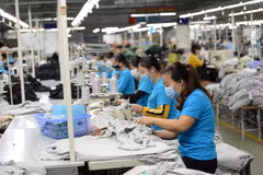 Ông Cao Hữu Hiếu, Tổng Giám đốc Vinatex phát biểu tại hội nghị tổng kết của Tập đoàn. (Ảnh: Xuân Quảng/Vietnam+)
