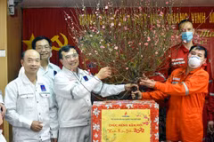 Lãnh đạo PetroVietnam tặng cành đào để cán bộ công nhân viên trên giàn vui Tết, đón Xuân, mang xuân đến sớm với giàn Công nghệ trung tâm 3. (Ảnh: PV/Vietnam+)