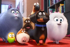 Đẳng cấp thú cưng: Quà tặng mùa Hè dành cho thiếu nhi