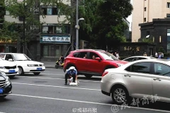 Cảnh sát giao thông cứu con mèo qua đường khiến dân mạng thích thú