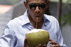 Tổng thống Mỹ Obama uống nước dừa khi đi chùa cổ ở Luang Prabang
