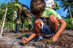 Bảo tồn và quản lý tốt các công viên, rừng và vùng hoang dã được coi là công cụ chính để các quốc gia bảo vệ hệ sinh thái. (Nguồn: news.un.org)