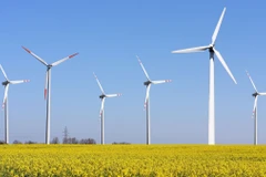 Ảnh minh họa. (Nguồn: independent.org)