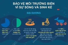 Ngày Đại dương thế giới: Bảo vệ môi trường biển vì sự sống và sinh kế