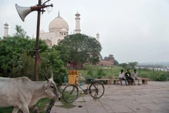 Dự báo tăng trưởng của Ấn Độ bị hạ xuống do nước này đối mặt với số ca nhiễm COVID-19 gia tăng. (Nguồn: thenewsmotion.com)