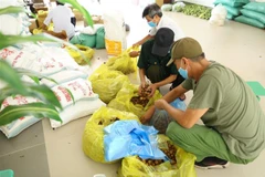 Từ 5-12/8/2021, phường Dương Nội, quận Hà Đông (Hà Nội) đã tổ chức trao 1900 suất quà, mỗi suất gồm 5 cân gạo, 5 gói mỳ, 1 gói muối, trứng, rau củ quả... cho người gặp khó khăn, mất việc do dịch COVID-19 trên địa bàn. (Ảnh: Hoàng Hiếu/TTXVN)