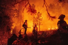 Lính cứu hỏa nỗ lực dập lửa tại đám cháy Caldor ở Twin Bridges, bang California (Mỹ), ngày 29/8/2021. (Ảnh: AFP/TTXVN)