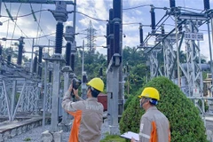 Ảnh minh họa. (Ảnh: TTXVN)