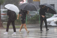 Mưa lớn sau khi bão Chanthu quét qua đảo Jeju (Hàn Quốc), ngày 16/9/2021. (Ảnh: Yonhap/TTXVN)