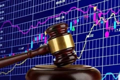 Ảnh minh họa. (Nguồn: cafef.vn)