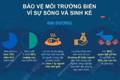 Ngày Đại dương thế giới: Bảo vệ môi trường biển vì sự sống và sinh kế