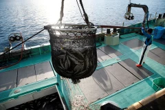 Ảnh minh họa. (Nguồn: reuters.com)