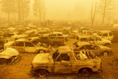 Xe ôtô bị phá hủy trong đám cháy rừng tại Greenville, California (Mỹ), ngày 6/8/2021. (Ảnh: AFP/TTXVN)
