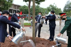 Nhiều địa phương đồng loạt phát động phong trào Tết trồng cây