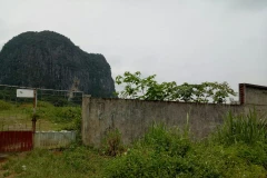 Thanh Hóa cần thu hồi nhà máy xi măng 'chết yểu' hơn 10 năm