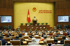 Kỳ họp thứ 11 của Quốc hội khóa XIV. (Ảnh: TTXVN)