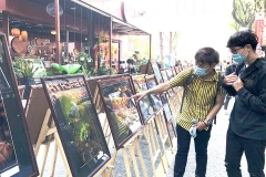 Triển lãm mỹ thuật Mừng Đảng, mừng Xuân Tân Sửu tại Thành phố Hồ Chí Minh. (Ảnh: SGGP)