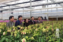 Xây dựng Hà Nam trở thành một cực tăng trưởng của Đồng bằng Bắc Bộ