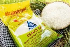 Gạo ST25 bị doanh nghiệp nước ngoài đăng ký thương hiệu tại Mỹ