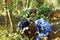 Quảng Trị cất bốc được nhiều hài cốt liệt sỹ​ và di vật