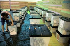 Một điểm bỏ phiếu tại Albania. (Ảnh: EPA)