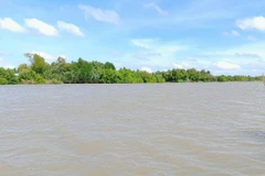 Một đoạn sông Bảy Háp. (Nguồn: Báo Giao thông)