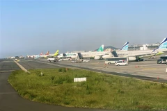 Máy bay của các hãng hàng không Hàn Quốc tại Sân bay Quốc tế Jeju. (Ảnh: Anh Nguyên/TTXVN)