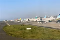 Máy bay của các hãng hàng không Hàn Quốc tại Sân bay Quốc tế Jeju. (Ảnh: Anh Nguyên/TTXVN)