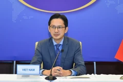 Thứ trưởng Ngoại giao Đỗ Hùng Việt. (Ảnh: TTXVN phát)