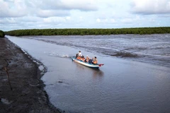 Du khách tham quan bãi bồi Cà Mau, Khu du lịch Đất Mũi, huyện Ngọc Hiển. (Ảnh: Hồng Đạt/TTXVN)