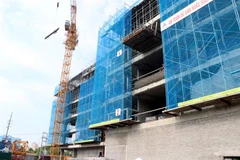 Ảnh minh họa. (Ảnh: Mạnh Tú/TTXVN)