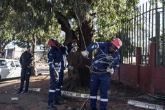 Công nhân sửa chữa đường dây điện tại Johannesburg, Nam Phi. (Ảnh: AFP/TTXVN)