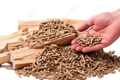 Ứng dụng sản xuất viên đốt Biomass từ phế phụ phẩm nông nghiệp