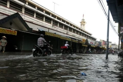 Triều cường dâng cao gây ngập lụt, vỡ đê ở Cần Thơ và Sóc Trăng