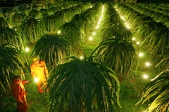 Cả nước tiết kiệm hơn 2 tỷ kWh điện trong chín tháng qua