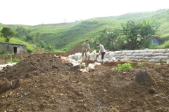 Hội thảo khoa học quốc tế Việt-Đức về tiêu chuẩn bảo vệ đất