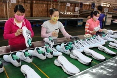 Những gam màu tươi sáng trong bức tranh kinh tế Đồng Nai