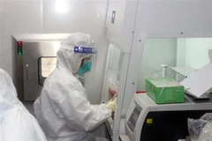 Các y, bác sỹ thực hiện xét nghiệm bằng kỹ thuật RT-PCR toàn bộ mẫu gửi về. (Ảnh: Đại Nghĩa/TTXVN)