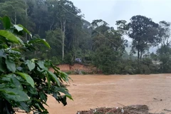 (Ảnh minh họa: TTXVN phát)