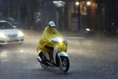 (Ảnh minh họa: Dương Giang/TTXVN)