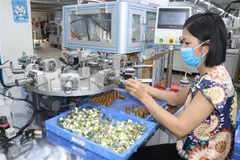 Hoạt động sản xuất tại Công ty TNHH Điện tử POYUN Việt Nam. (Ảnh: Mạnh Minh/TTXVN)