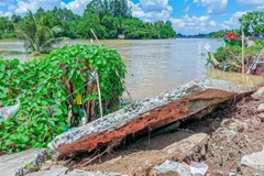 Khu vực Ô Môn, Cần Thơ. (Ảnh minh họa: Thanh Liêm/TTXVN)