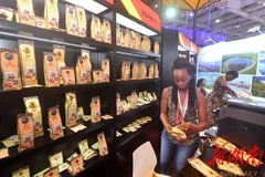 Hội chợ Triển lãm kinh tế và thương mại Trung Quốc-châu Phi năm 2019. (Nguồn: enghunan.gov.cn)