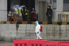 Chợ Bạch Sa Châu, một trong những khu chợ đồ tươi sống lớn nhất Vũ Hán. (Ảnh: AP)