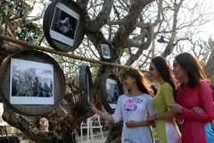 Ảnh minh họa. (Nguồn: TTXVN)