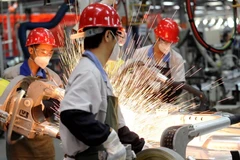 Ảnh minh họa. (Nguồn: THX)