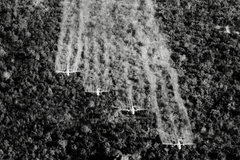 [Photo] Sự ác liệt của chiến tranh Việt Nam qua những bức ảnh 